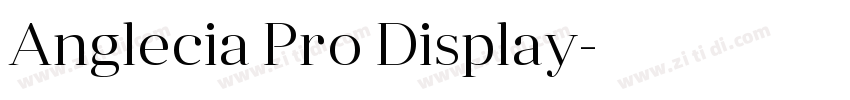 Anglecia Pro Display字体转换